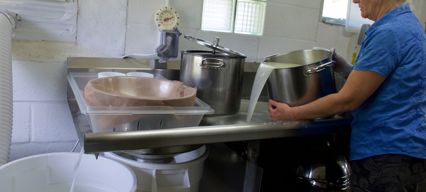 Mary pouring liquid (whey)