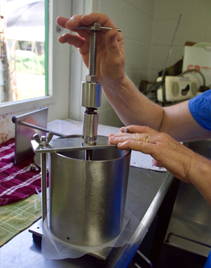Mechanically pressing the cheese to remove excess moisture