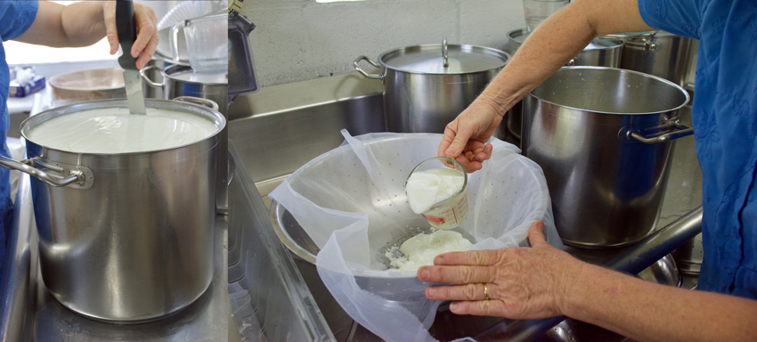 Separating into curds