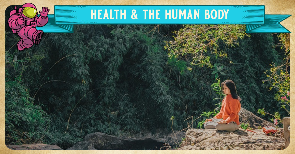 Health and the Human Body