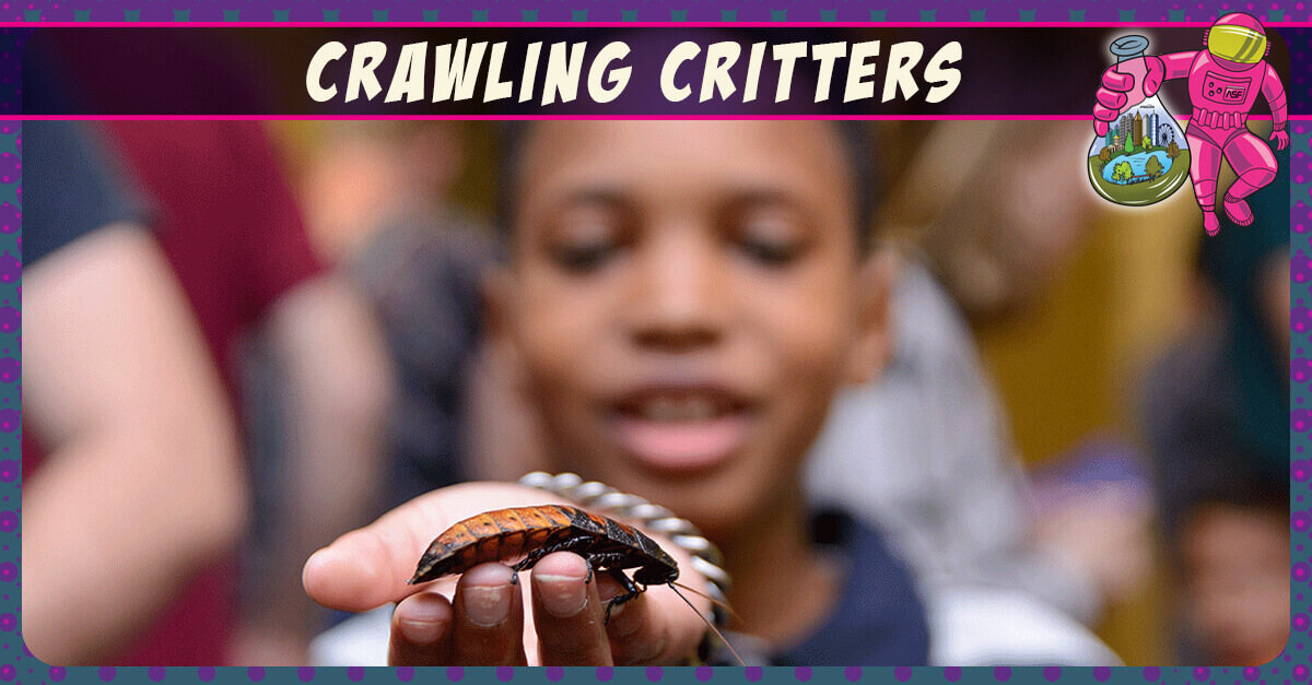 Crawling Critters - kid holding a bug