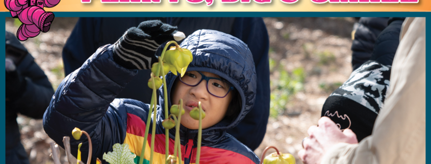 child looking at plants