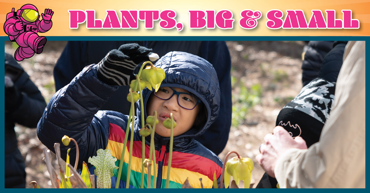 child looking at plants