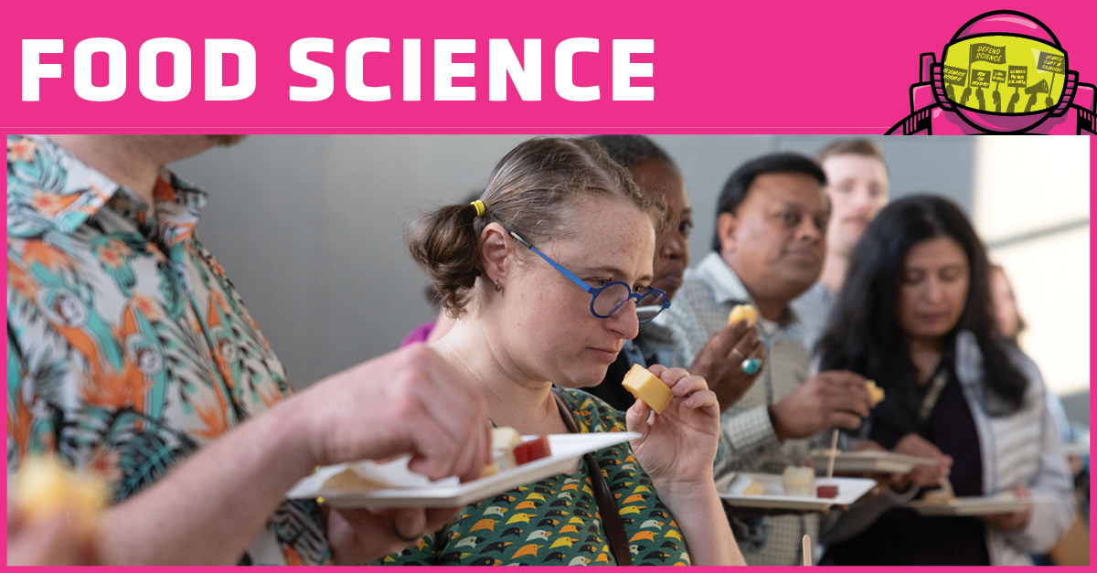 Woman inspecting piece of cheese