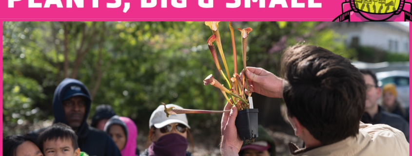 Man showing carnivorous plant to crowd