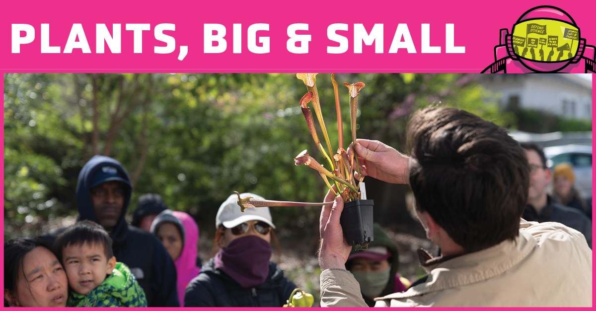 Man showing carnivorous plant to crowd
